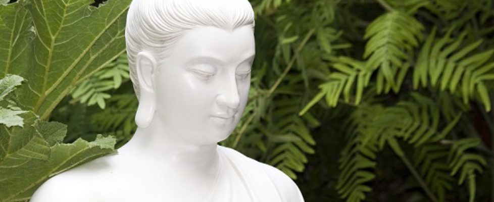 What do you think of the Buddha